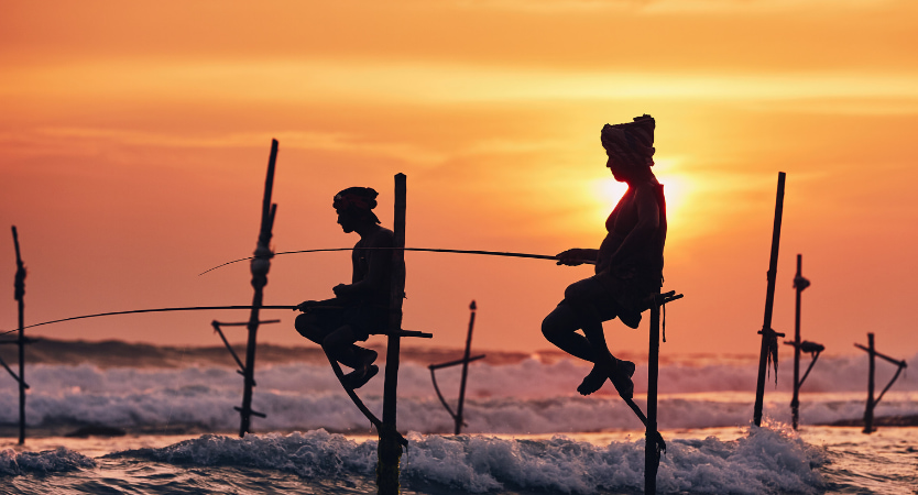 Sri Lanka: A Journey of Wonder