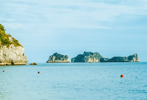A Glimpse of Vietnam